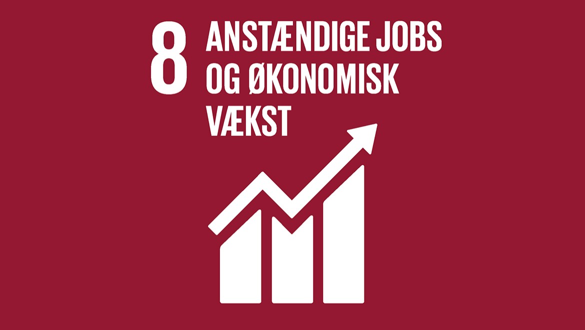 Verdensmål 8 "anstændige jobs og økonomisk vækst"