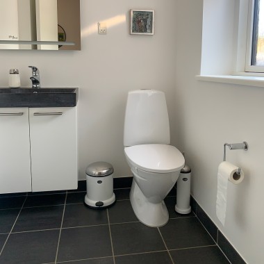 Renovering af toilet (© Peter Mølgaard, Geberit A/S) Renovering af toilet (© Peter Mølgaard, Geberit A/S)