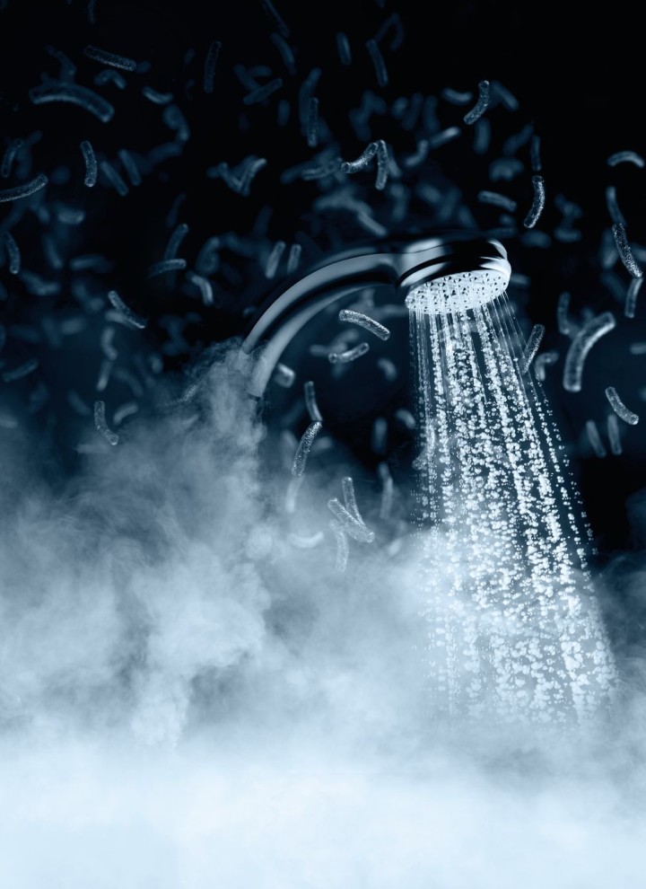 Douchestråler er potentielle kilder til legionella Douchestråler er potentielle kilder til legionella