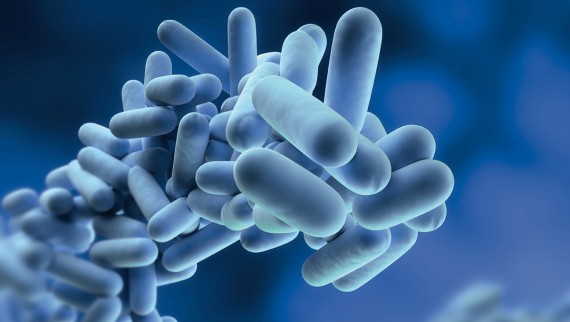 Drikkevandshygiejne, Legionella Drikkevandshygiejne, Legionella