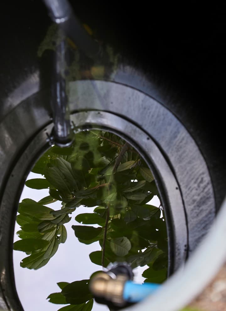 Spand med regnvand hus i klampenborg Spand med regnvand hus i klampenborg