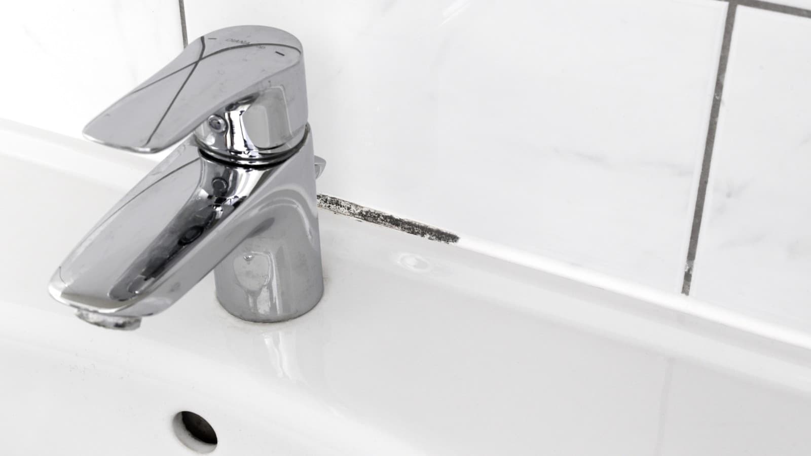 Skimmel ved håndvasken Skimmel ved håndvasken